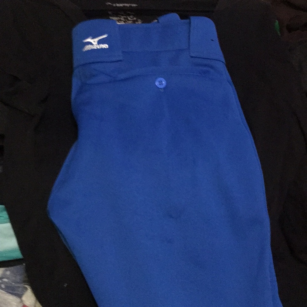 Softball pants